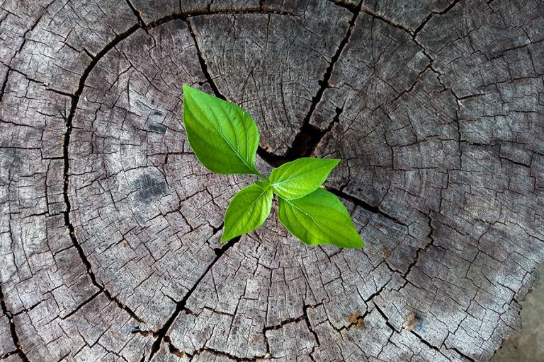 jeudi-nature-innovations jeudi-nature-innovations