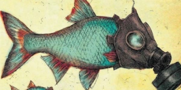 Porjet Logiciel Mosaic Porjet Logiciel Mosaic