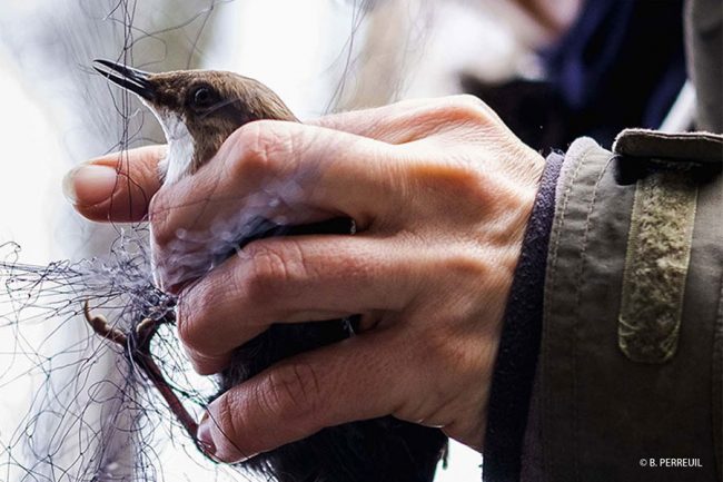 Effet des polluants sur les rivières