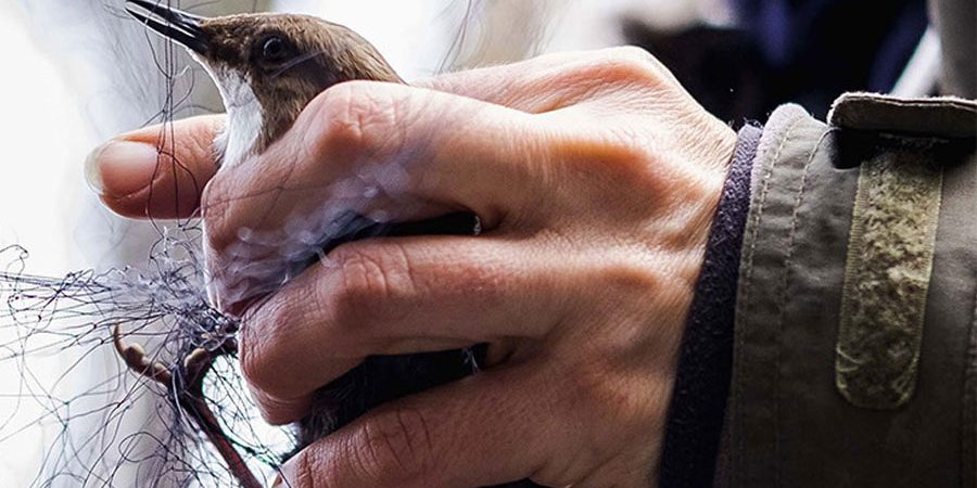 Projet Diagnostique Impact Effet des polluants sur les rivières