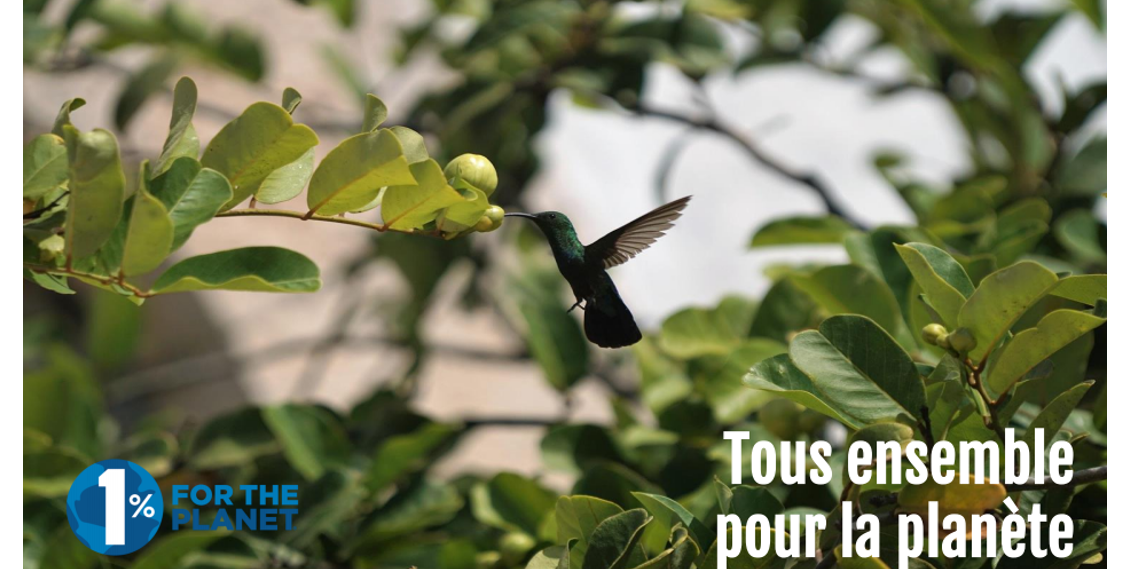 Capture Tous ensemble pour la planète