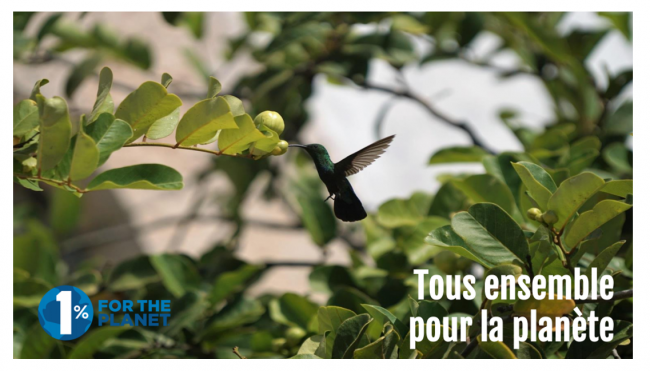 Tous ensemble pour la planète