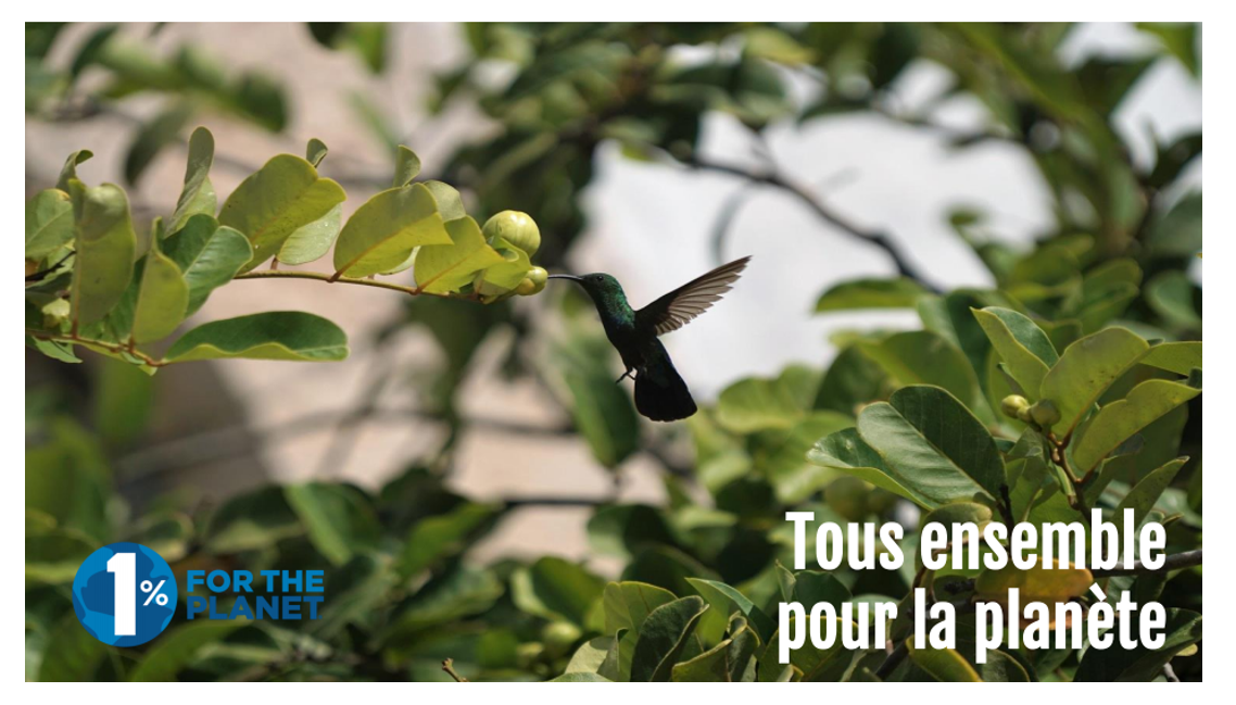 Capture Tous ensemble pour la planète