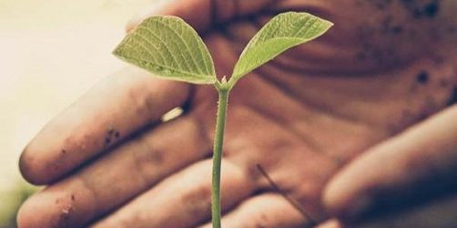 Prendre soin des sols