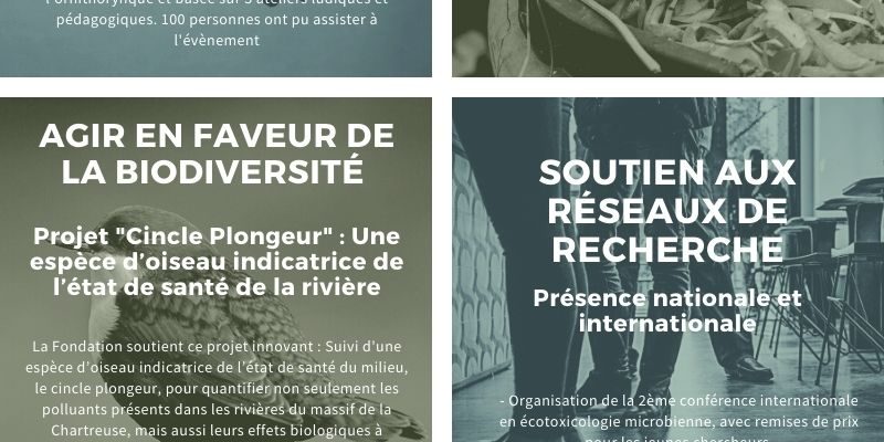 ACTIONS Fondation 2020_Infographie (1)