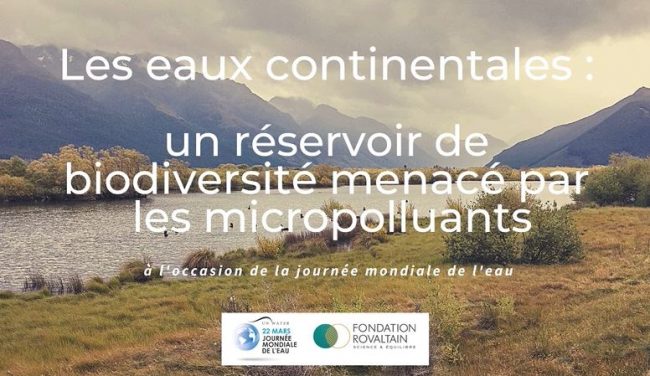 Les micropolluants