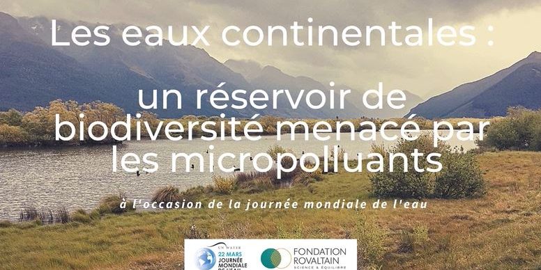 Les micropolluants Les micropolluants