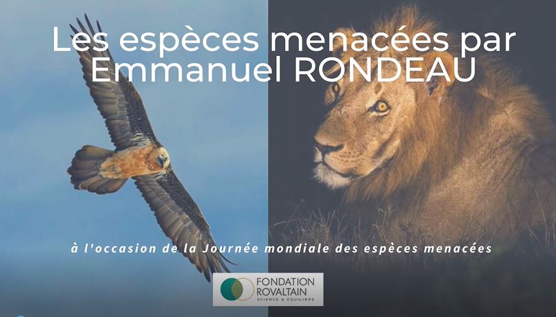 photo vidéo espèces menacées