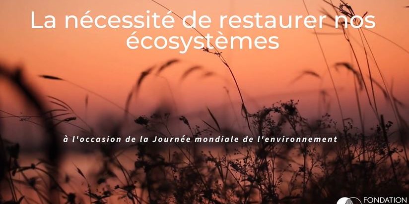 Ecosystème