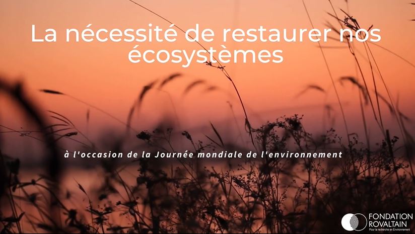 Ecosystème