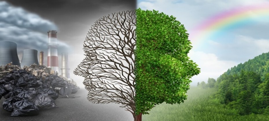 Pollution et environnement