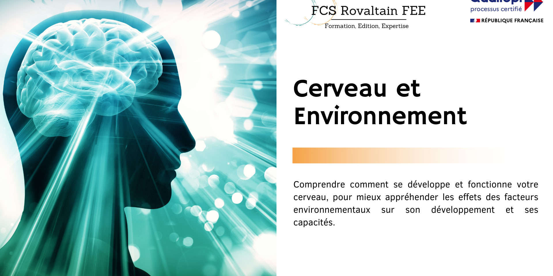 Formation Cerveau et Environnement