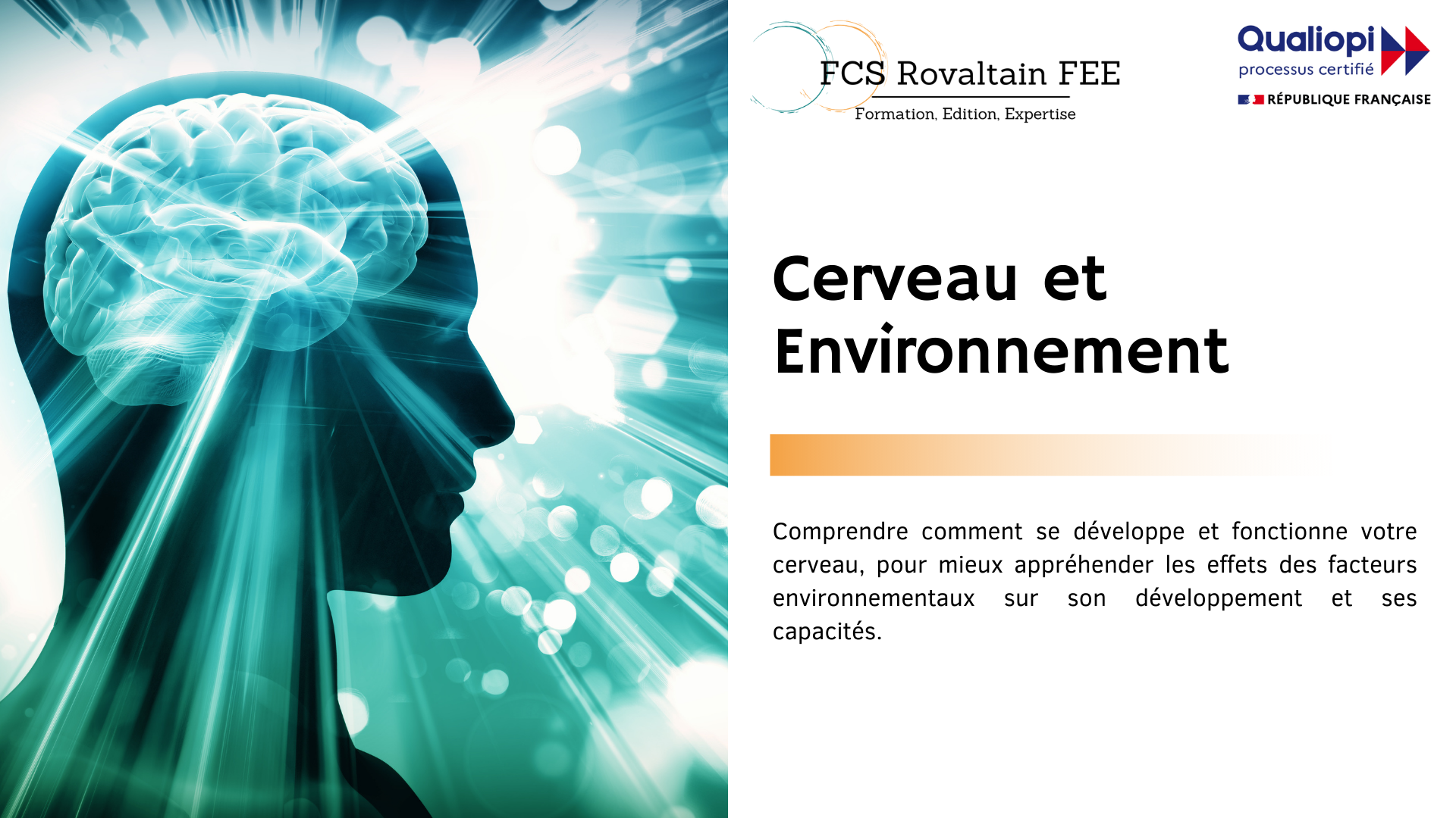 Formation Cerveau et Environnement
