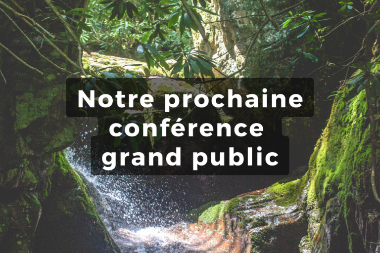 Copie de Copie de 8 mars (1)