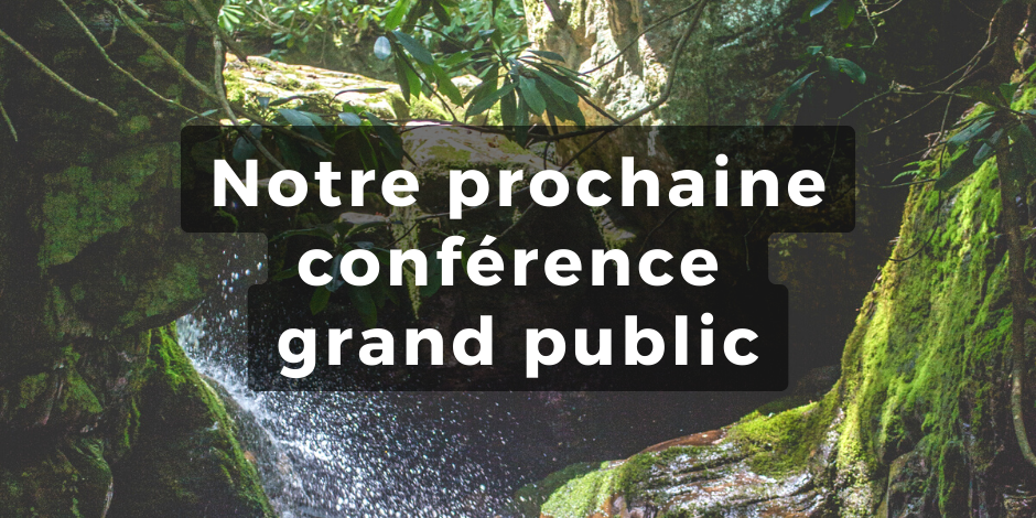 Copie de Copie de 8 mars (1)