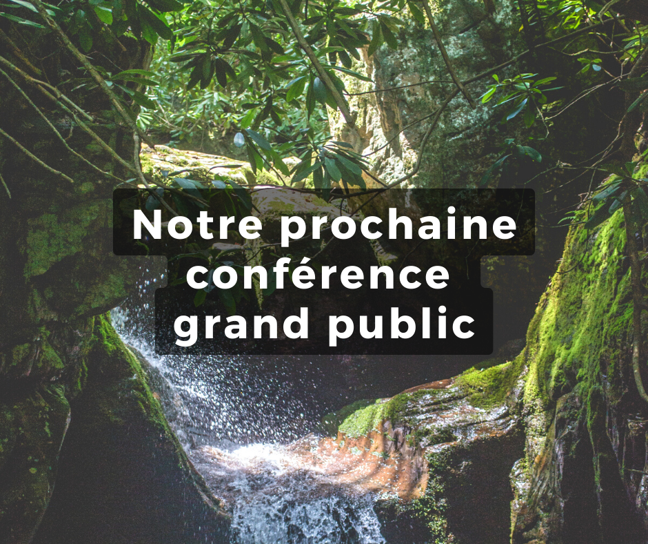 Copie de Copie de 8 mars (1)