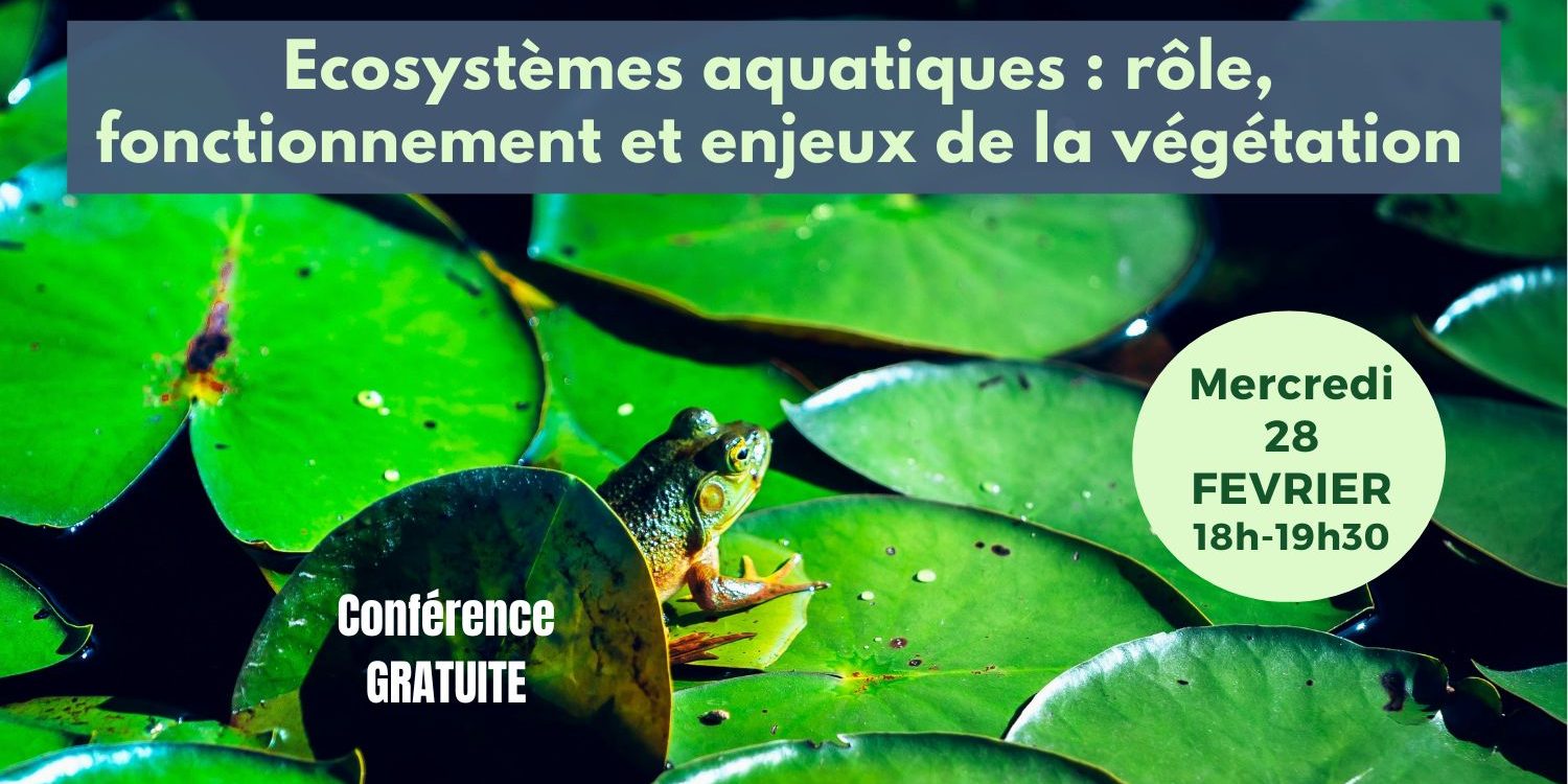 Conf 28 fev. post allongé(1)