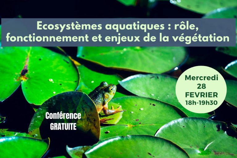 Conf 28 fev. post allongé(1)