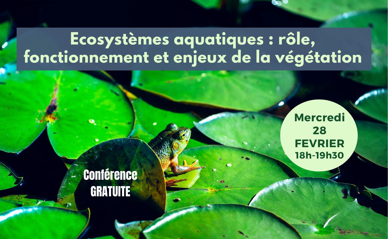 Conf 28 fev. post allongé(1)