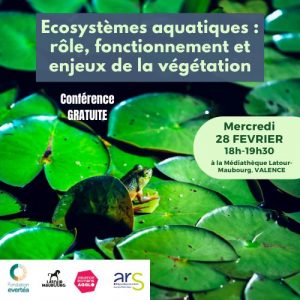 Ecosystèmes aquatiques : rôle, fonctionnement et enjeux de la végétation