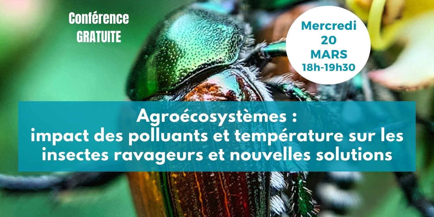 Conf 20 mars post allongé