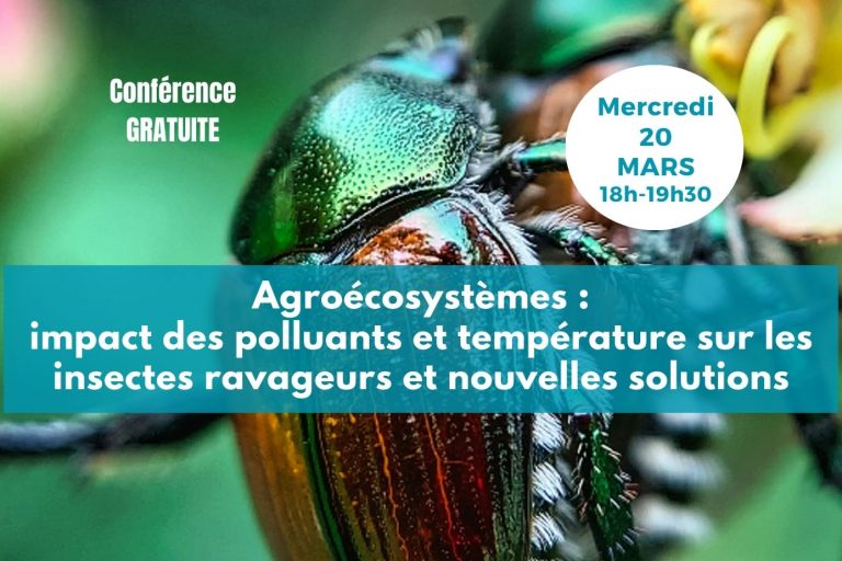 Conf 20 mars post allongé