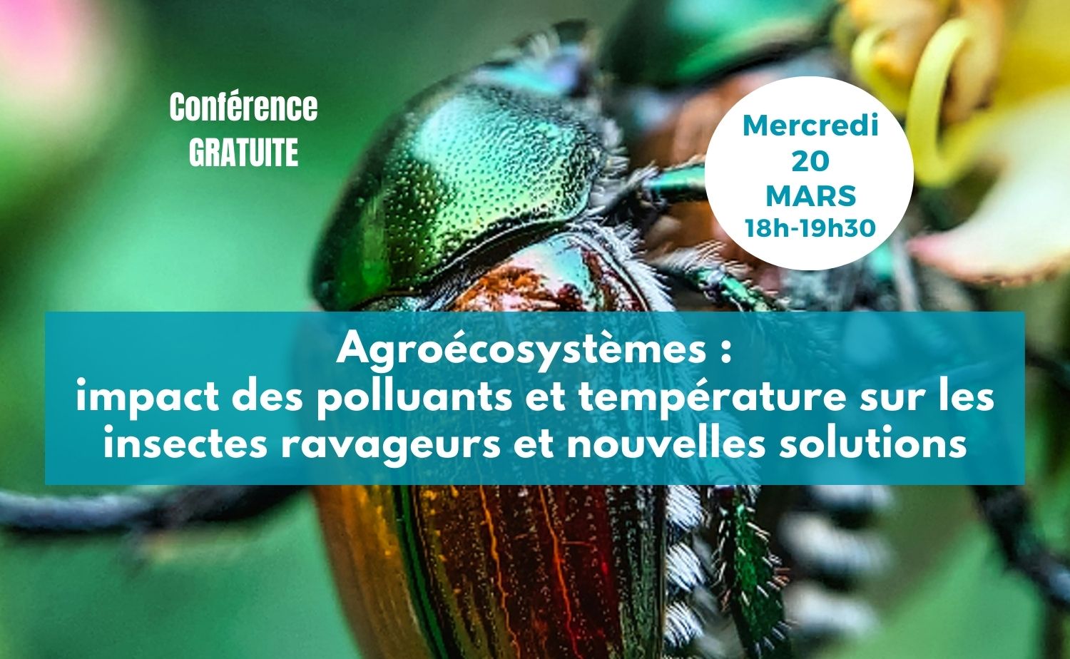 Conf 20 mars post allongé