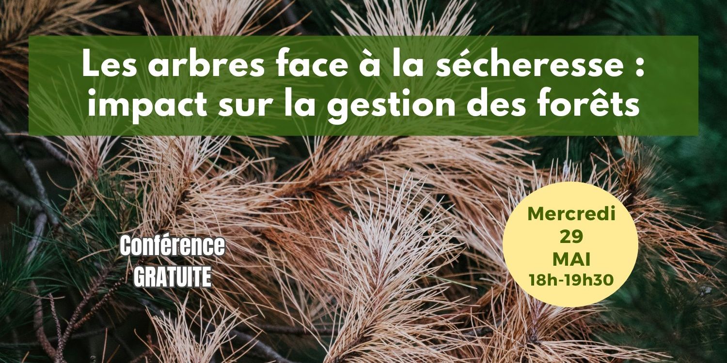 Conf 29 mai post allongé