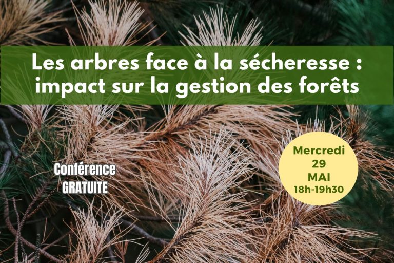 Conf 29 mai post allongé