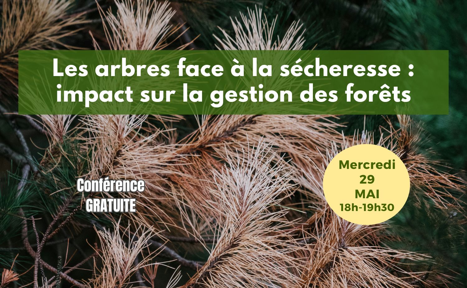 Conf 29 mai post allongé