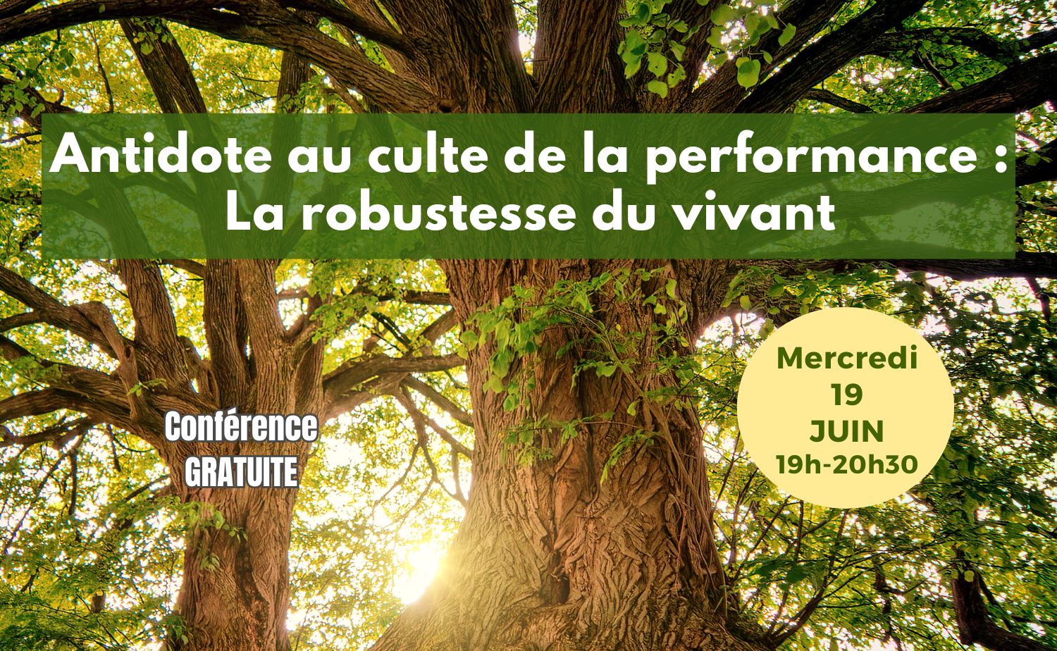 Conf 19 juin post allongé