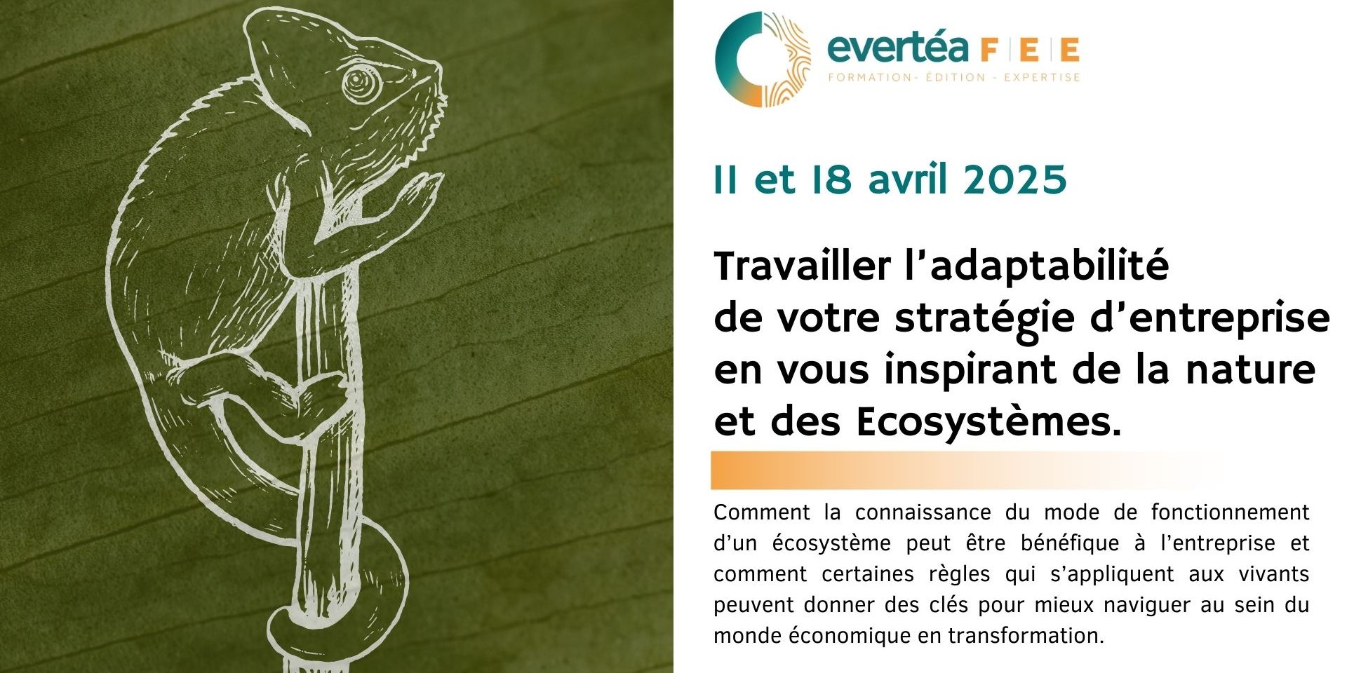Adaptabilite-AVril2025