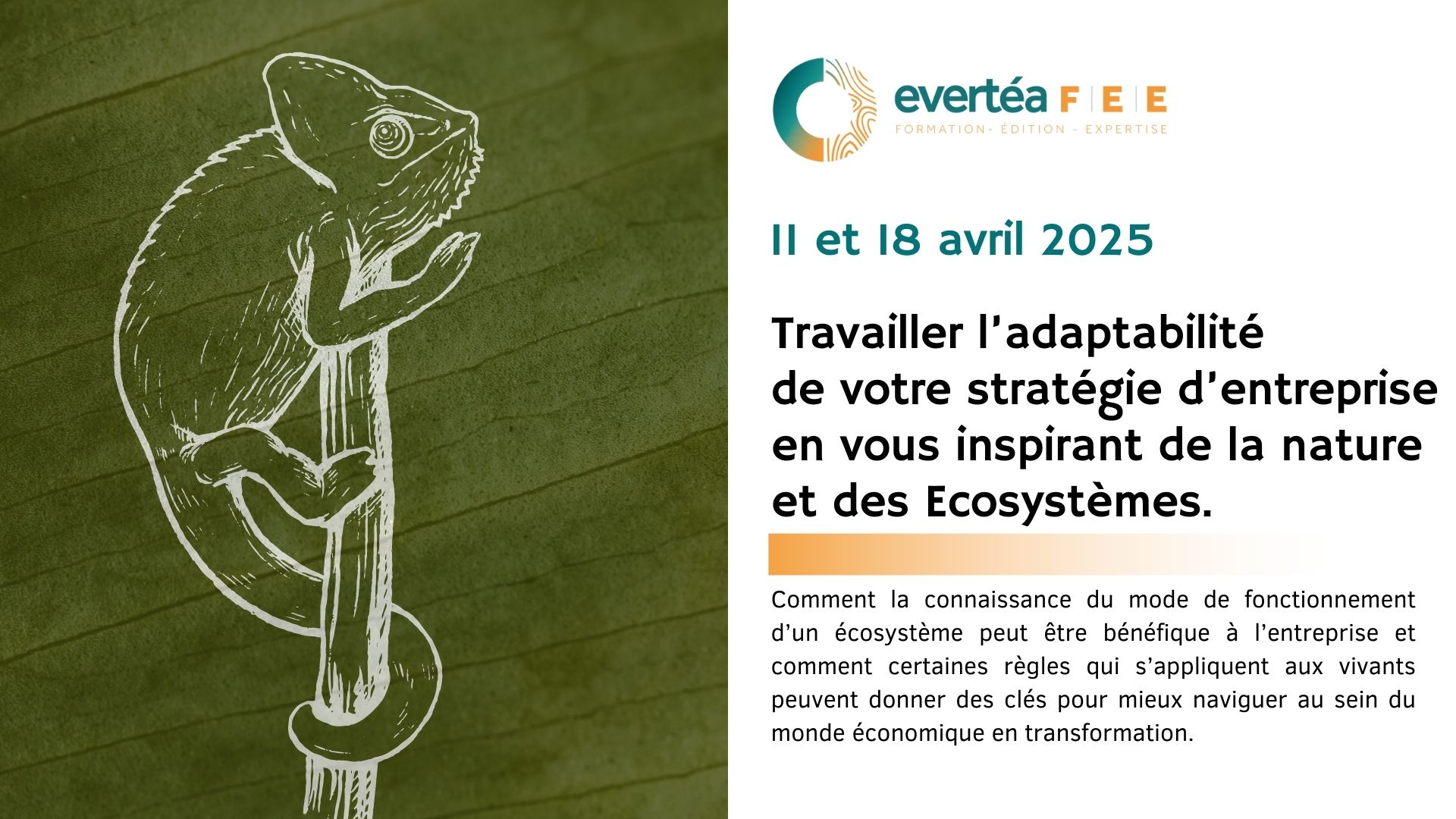 Adaptabilite-AVril2025