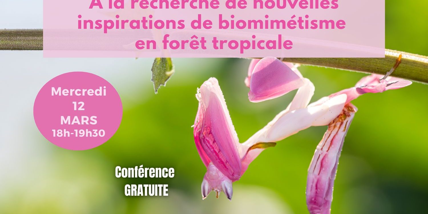 Conf 12 Mars post allongé