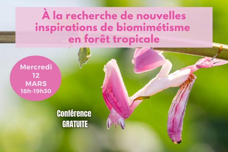 Conf 12 Mars post allongé