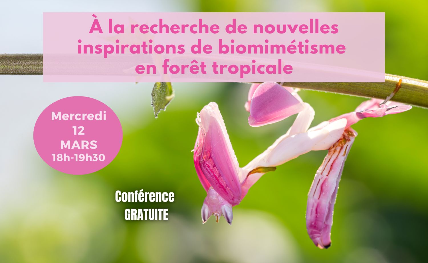 Conf 12 Mars post allongé