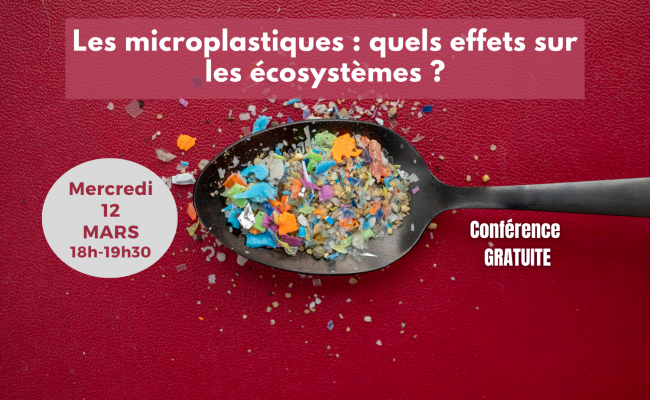 Conf 16 avril post allongé