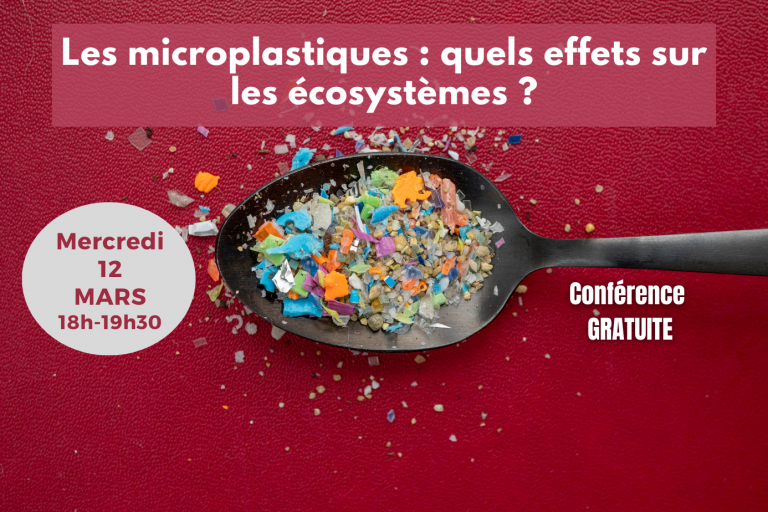 Conf 16 avril post allongé