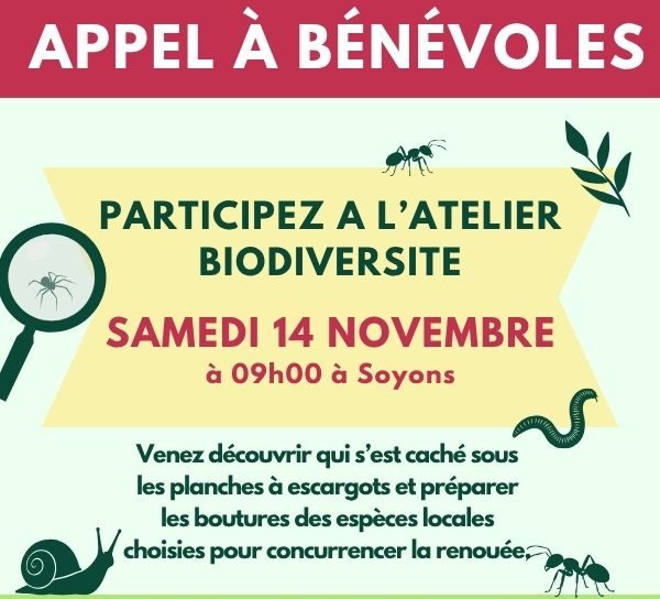 Atelier 14 novembre - carré