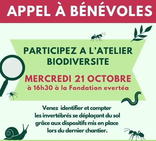Atelier 21 octobre - Carré