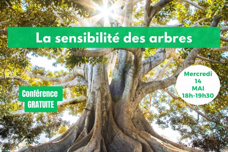 Conf 14 Mai 2025 – post allongé