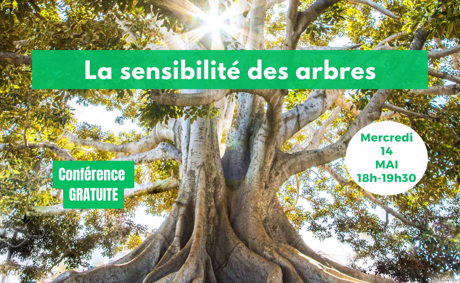 Conf 14 Mai 2025 – post allongé