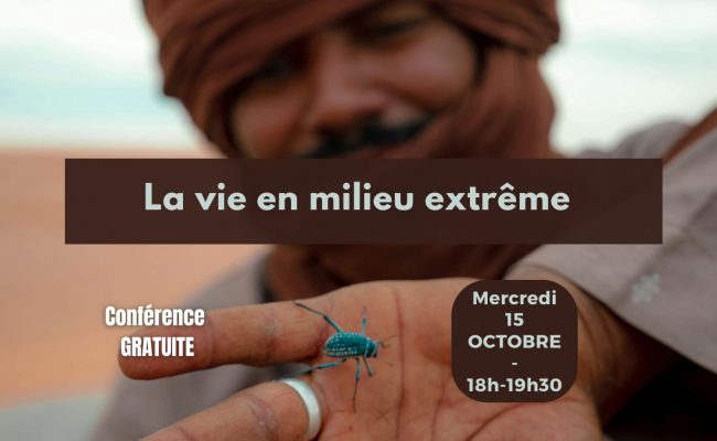 Conf 15 oct 2025 – post allongé