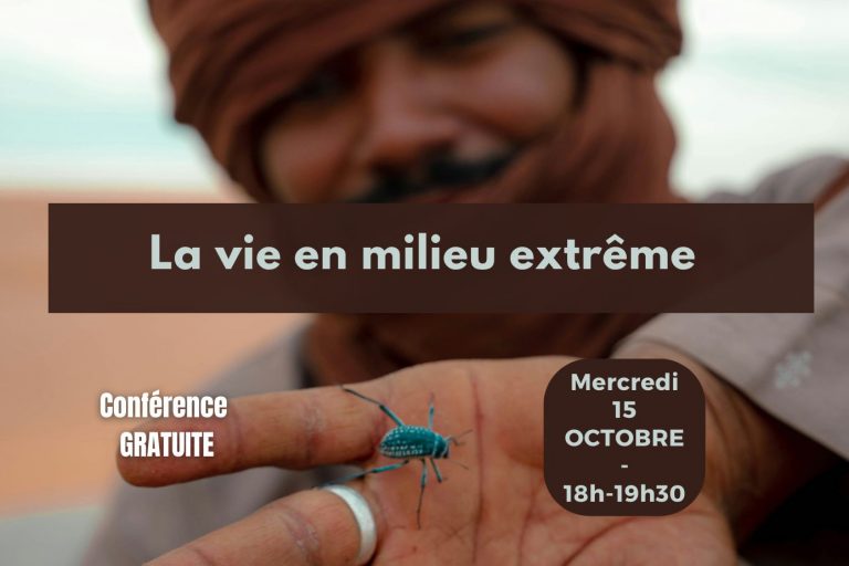 Conf 15 oct 2025 – post allongé