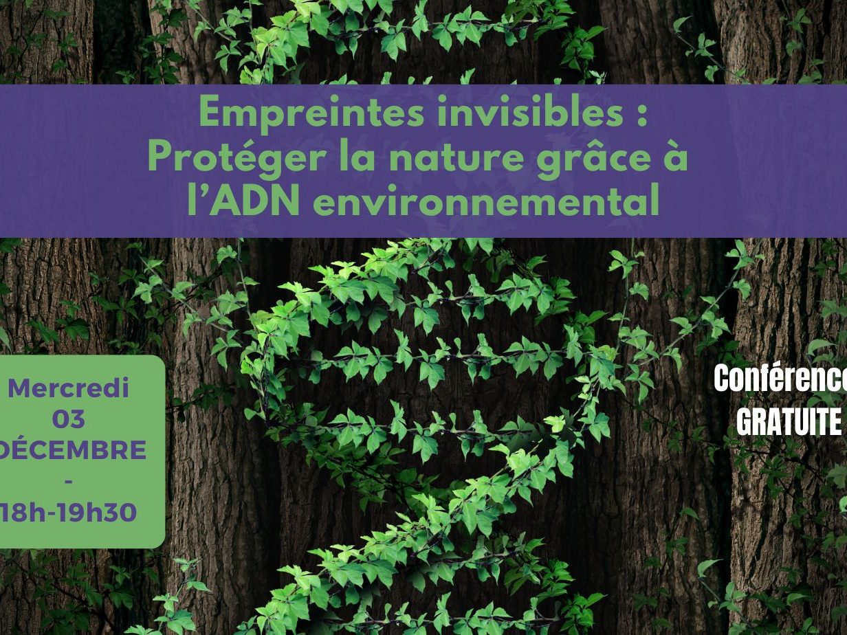 Conf déc 2025 – post allongé