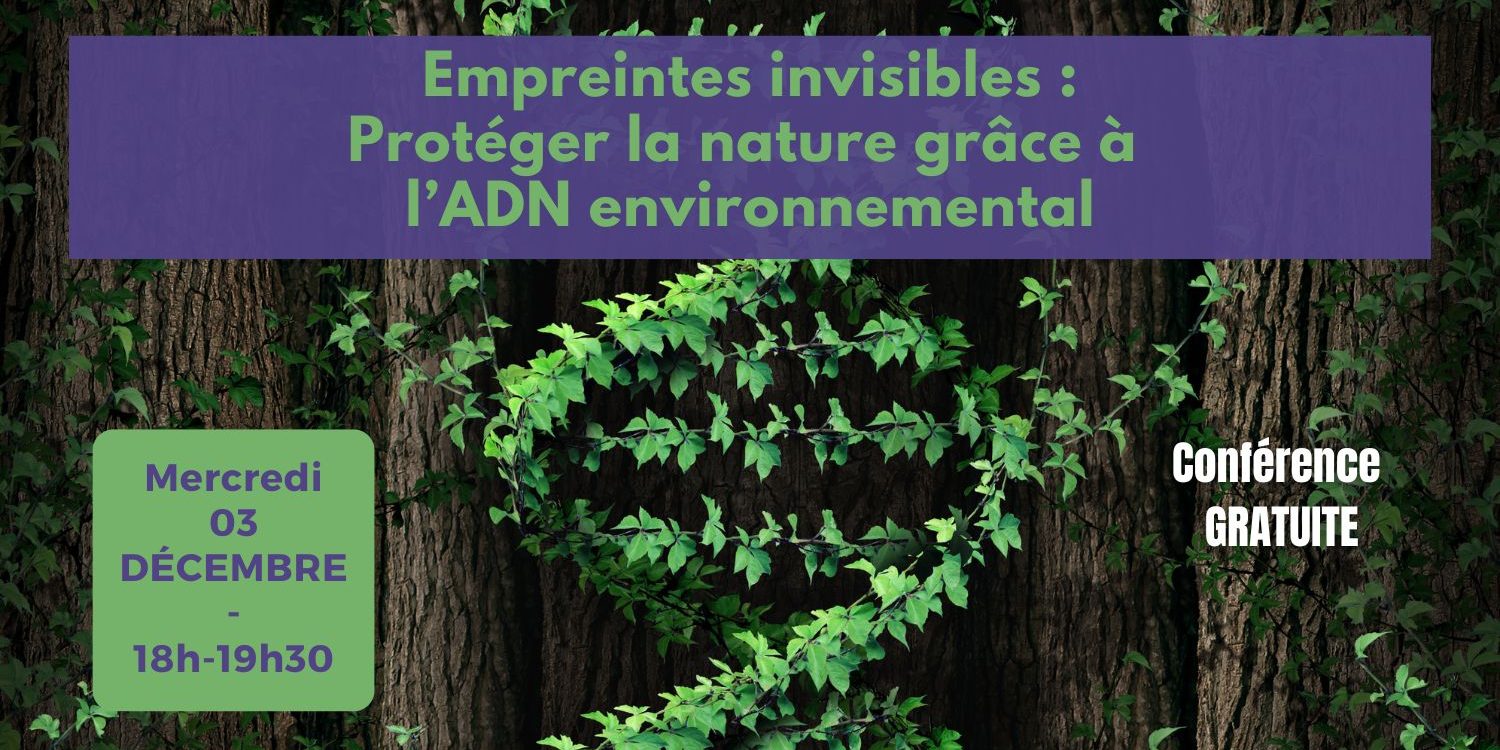 Conf déc 2025 – post allongé