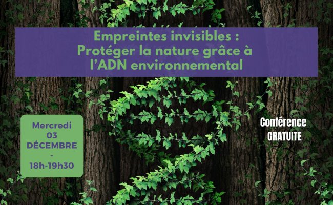 Conf déc 2025 – post allongé