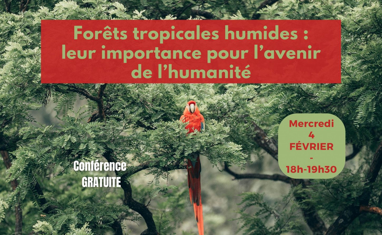 Conf 4 fév 2026 – post allongé