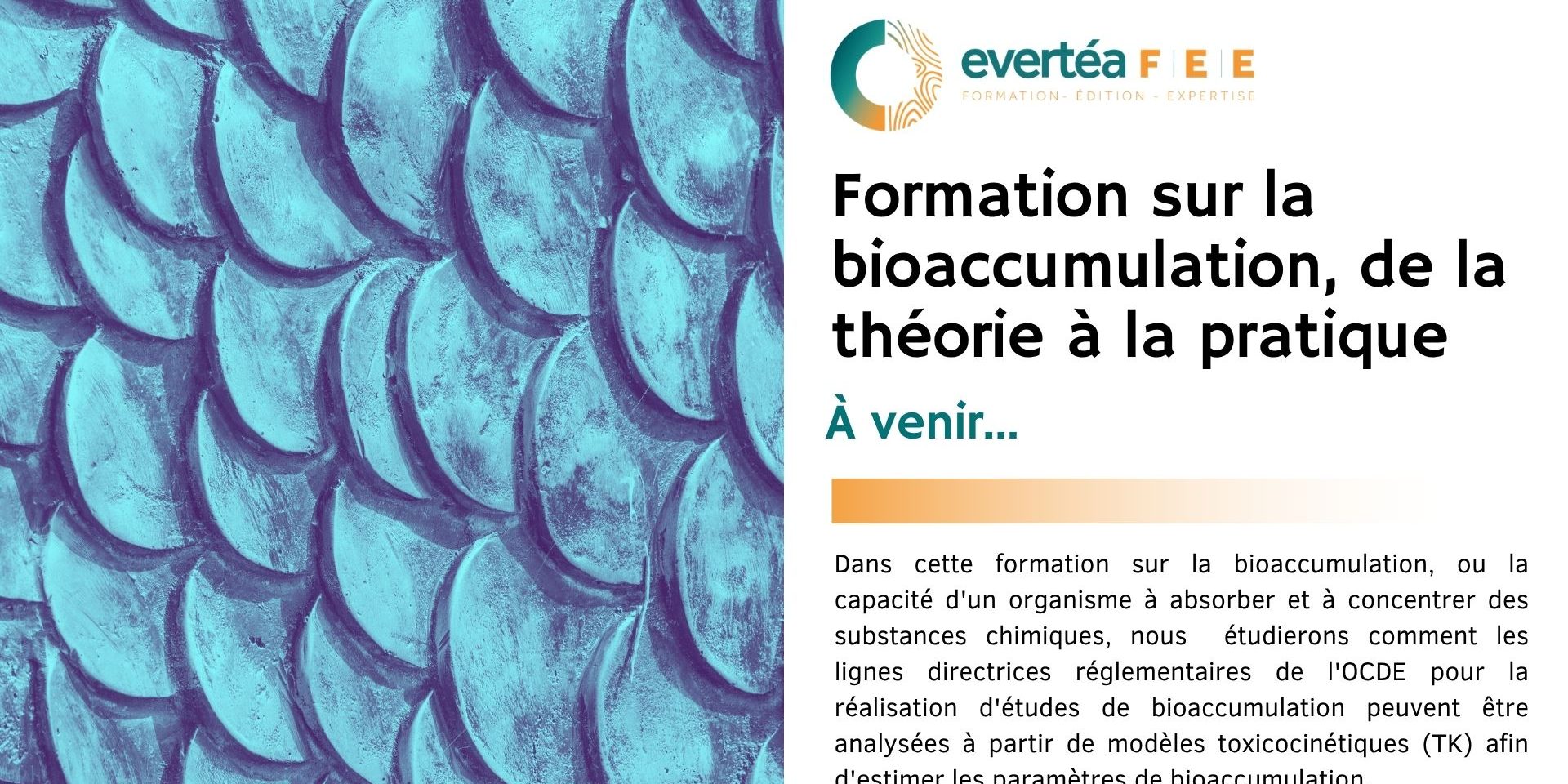 Bioaccumulation
