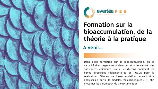 Bioaccumulation